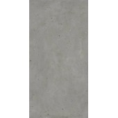 610010005695 Italon Авангард  Айрон нат. 60x120