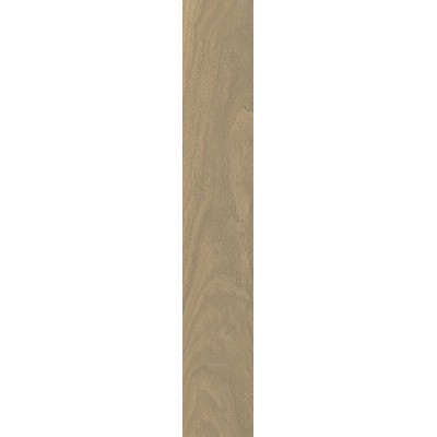 610010004068 Coliseum Gres Bormio Honey 20х120 см нат