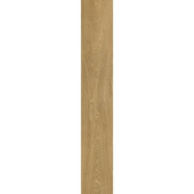 610010003503 Coliseum Gres Ducale Nut 20х120 см нат