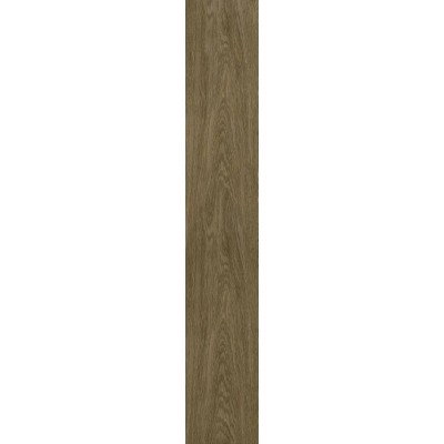 610010003504 Coliseum Gres Ducale Pepper 20х120 см нат