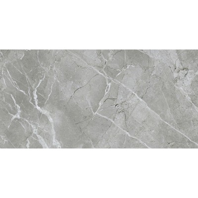 60x120 SilkMarble Бреча Серый Матовый R9