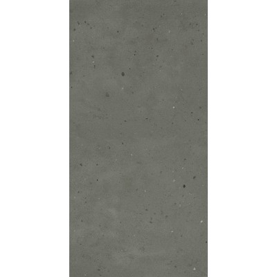 610010005696 Italon Авангард  Блэк нат. 60x120