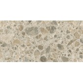 60x120 CityStone Чеппо Мультиколор Матовый R10A