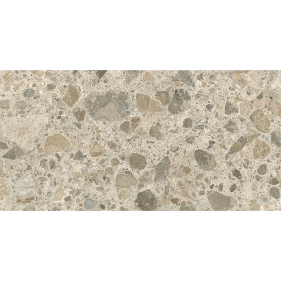 60x120 CityStone Чеппо Мультиколор Матовый R10A